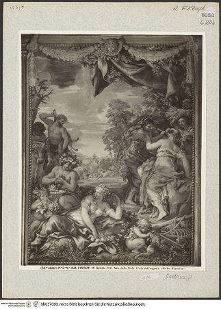 Vorderseite von bh037008_recto