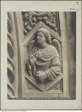 Vorderseite von bh037164_recto