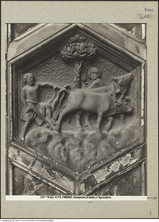 Vorderseite von bh037191_recto