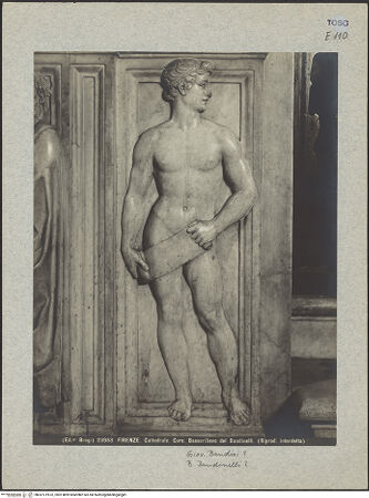 Vorderseite von bh037219-02_recto