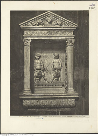 Vorderseite von bh037236-01_recto