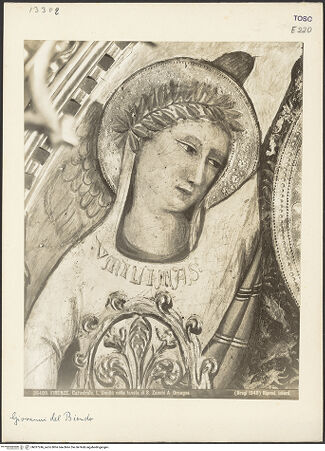 Vorderseite von bh037246_recto