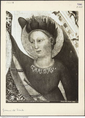 Vorderseite von bh037247_recto