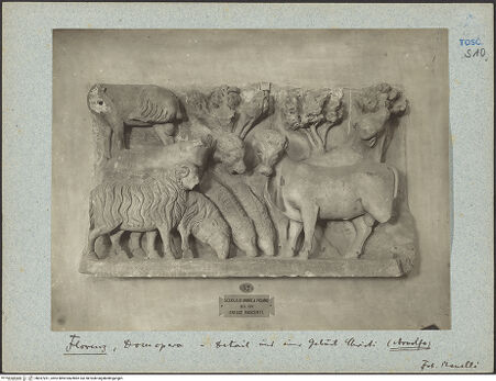 Vorderseite von bh037261_recto