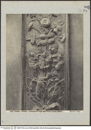 Vorderseite von bh037323_recto