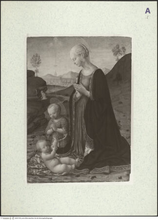 Vorderseite von bh037354_recto