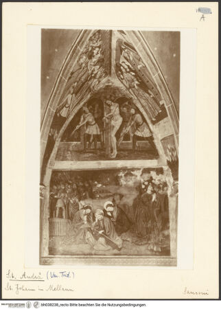 Vorderseite von bh038238_recto