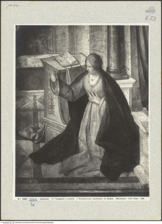 Vorderseite von bh038780_recto