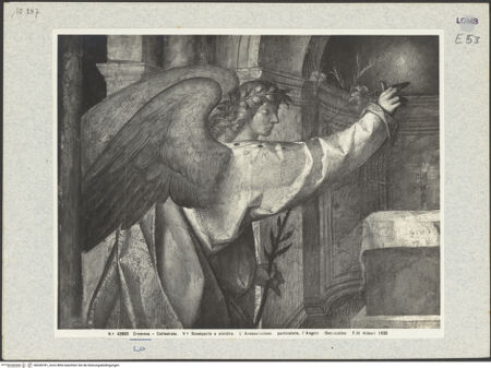 Vorderseite von bh038781_recto