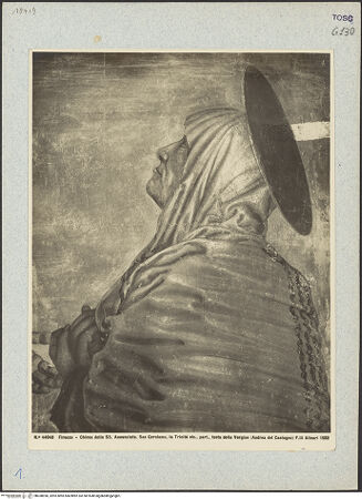 Vorderseite von bh038950_recto