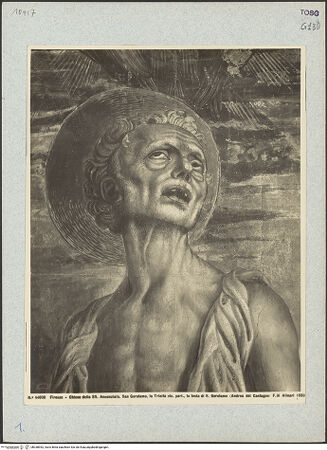 Vorderseite von bh038952_recto