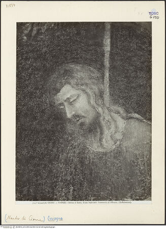 Vorderseite von bh038995_recto