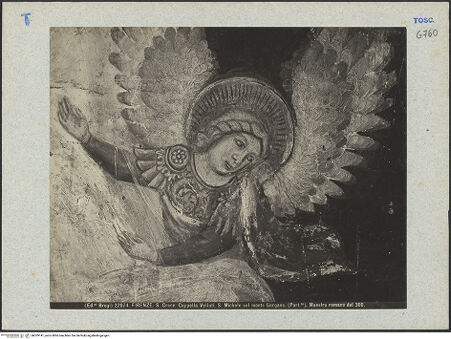 Vorderseite von bh039141_recto