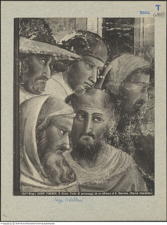 Vorderseite von bh039146_recto