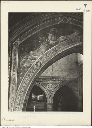 Vorderseite von bh039148_recto