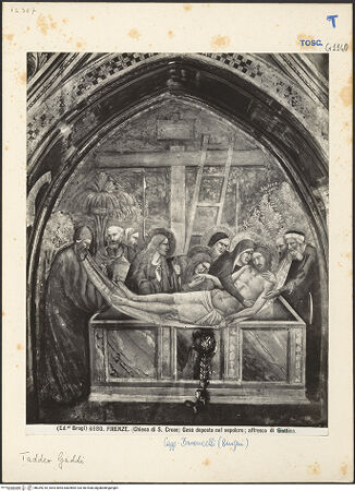 Vorderseite von bh039218_recto