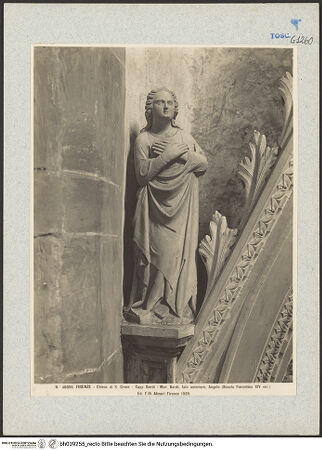 Vorderseite von bh039255_recto