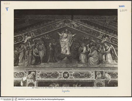 Vorderseite von bh039271_recto