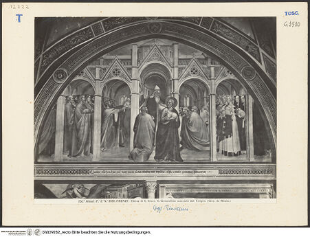 Vorderseite von bh039282_recto