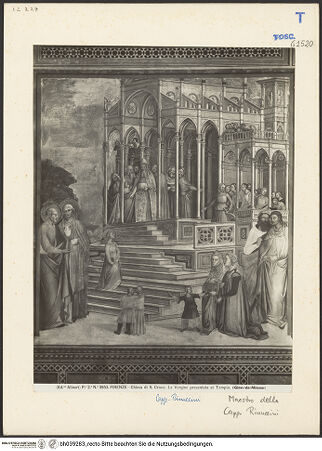 Vorderseite von bh039283_recto