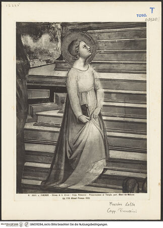 Vorderseite von bh039284_recto