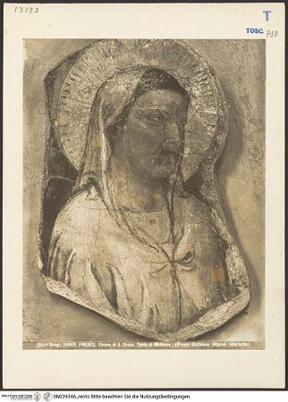 Vorderseite von bh039346_recto