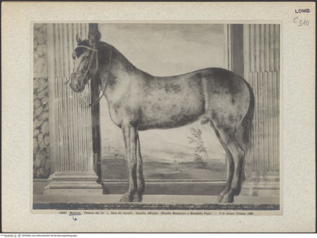 Vorderseite von bh039483_recto