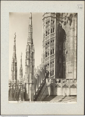 Vorderseite von bh039550_recto