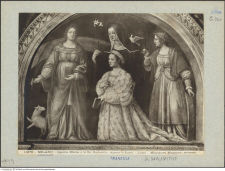 Vorderseite von bh039665_recto