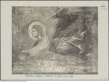 Vorderseite von bh039920_recto