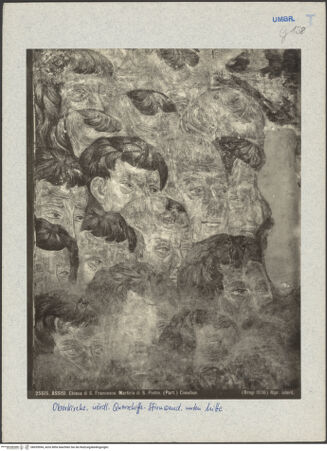 Vorderseite von bh039994_recto