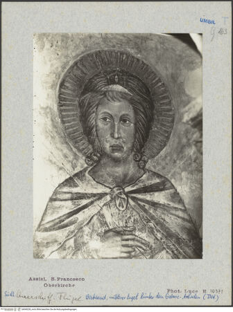 Vorderseite von bh040230_recto