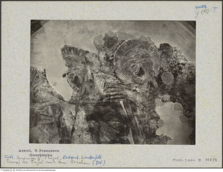 Vorderseite von bh040234_recto