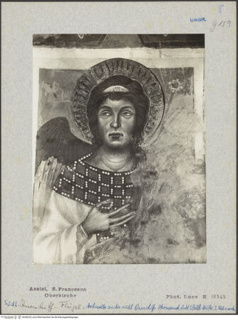 Vorderseite von bh040235_recto