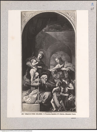 Vorderseite von bh040546_recto