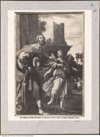 Vorderseite von bh040549_recto