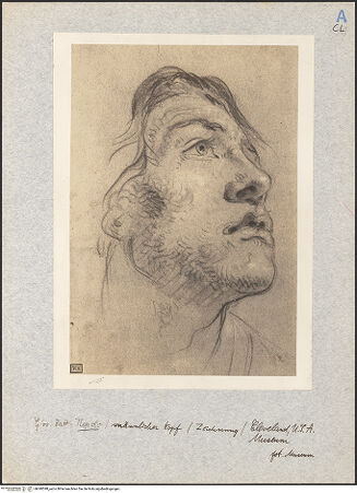 Vorderseite von bh040598_recto