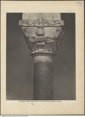 Vorderseite von Alinari [https://www.deutsche-digitale-bibliothek.de/content/lizenzen/rv-ez/] Kapitelle des LanghausesKapitell 1 (N1) - Gesamtansicht (vor der Restaurierung), bh040634_recto. Foto.