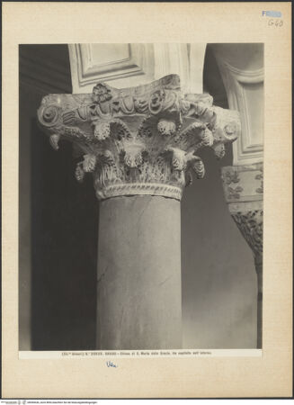 Vorderseite von Alinari [https://www.deutsche-digitale-bibliothek.de/content/lizenzen/rv-ez/] Kapitelle des LanghausesKapitell 4 (N4) - Gesamtansicht, bh040636_recto. Foto.