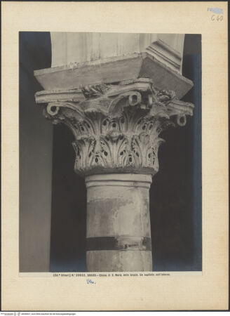 Vorderseite von Alinari [https://www.deutsche-digitale-bibliothek.de/content/lizenzen/rv-ez/] Kapitelle des LanghausesKapitell 6 (S5) - Gesamtansicht (vor der Restaurierung), bh040637_recto. Foto.