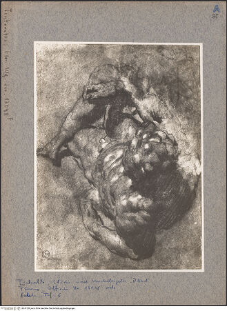 Vorderseite von bh041289_recto