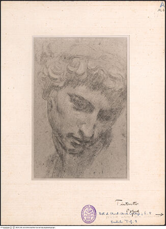 Vorderseite von bh041290_recto