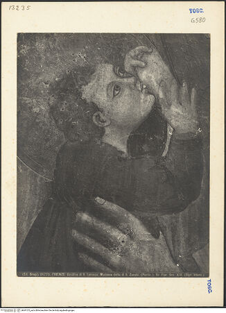 Vorderseite von bh041373_recto