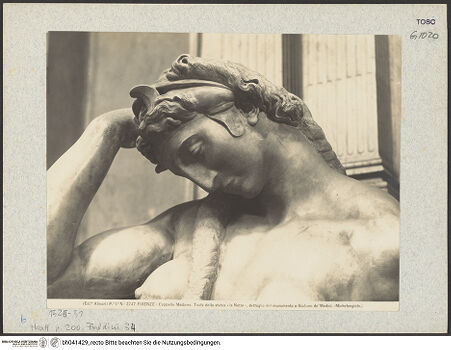 Vorderseite von bh041429_recto