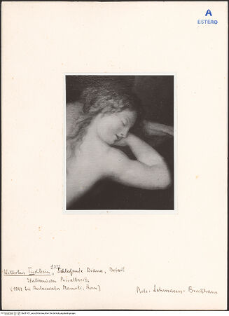 Vorderseite von bh041451_recto