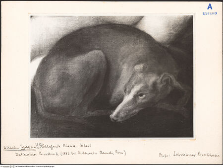 Vorderseite von bh041453_recto