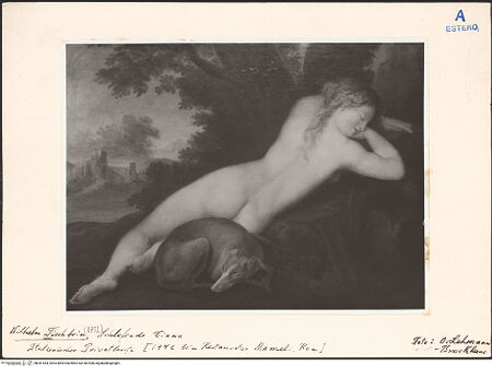 Vorderseite von bh041454_recto