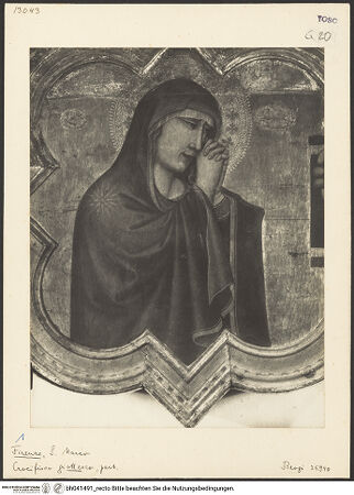 Vorderseite von bh041491_recto