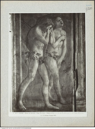 Vorderseite von bh041581_recto