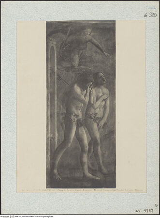 Vorderseite von bh041582_recto